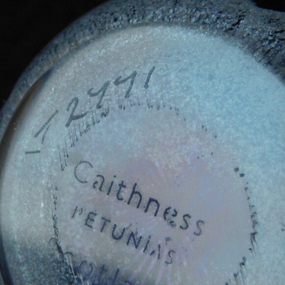 Caithness Scotland Petunias paperweight mint condition - Picture 8 of 11